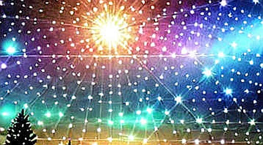 The Emptiness Signal: When No Data Is the Loudest Data