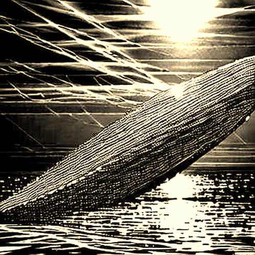 Code is Law, But People Are the Protocol: Lessons from Trump's Energy Holdings Disclosures for Blockchain Transparency