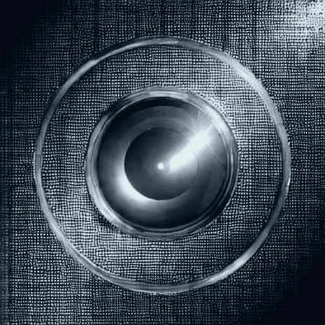 The Adeyemi Precedent: How a Crypto Protocol's Talent Bid Exposes a Structural Flaw in DeFi's Governance