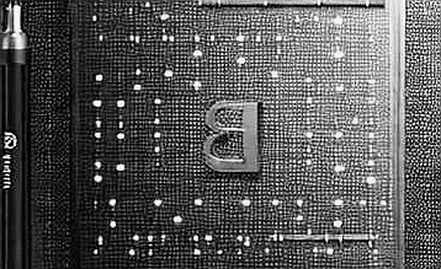 The 150,000 Applicants for AI Intimacy: A Blockchain Signal for Data Sovereignty